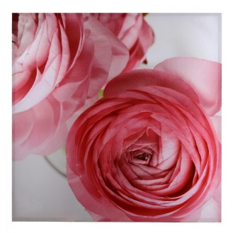 ΠΙΝΑΚΑΣ ΚΑΜΒΑΣ 80X80X2.5εκ. ROSE HM7094 ΠΙΝΑΚΑΣ ΚΑΜΒΑΣ 80X80X2.5εκ. ROSE HM7094